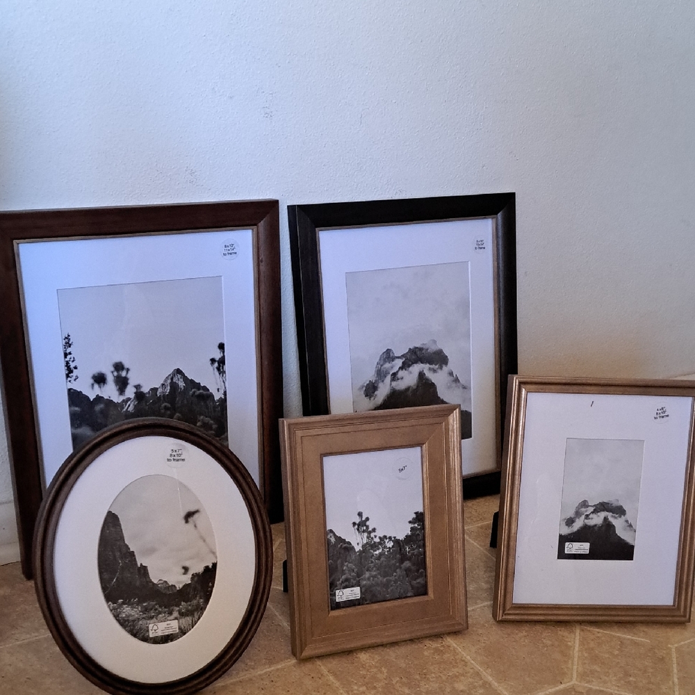 Set of 5  Frames, 2 ( 8x10-11 x14) 1 (4x6-8x10) 1 (5 x7) 1 Oval (5x7-8 x10)
